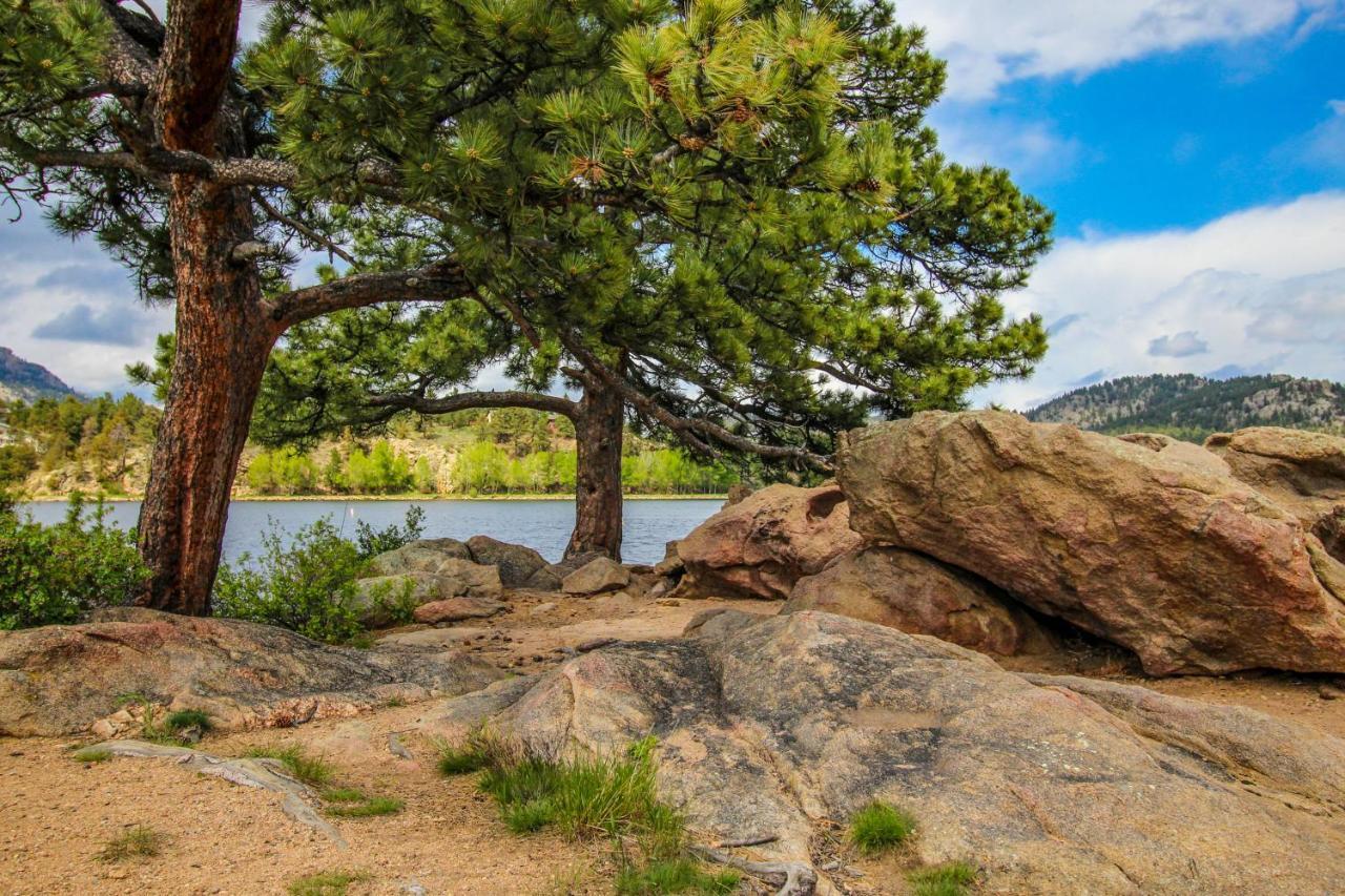 Courtney Cottage - Permit #3479 Estes Park Zewnętrze zdjęcie